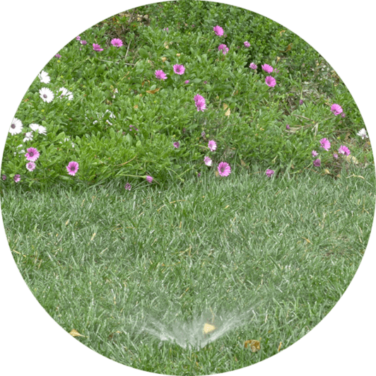 Most existing homes already have an irrigation system in their landscape. Whether sprinklers, rotors, micro spray, or drip, it's not underground drip approved for untreated greywater.